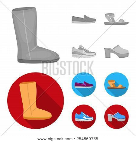 Beige Ugg Boots With Fur, Brown Loafers With A White Sole, Sandals With A Fastener, White And Blue S