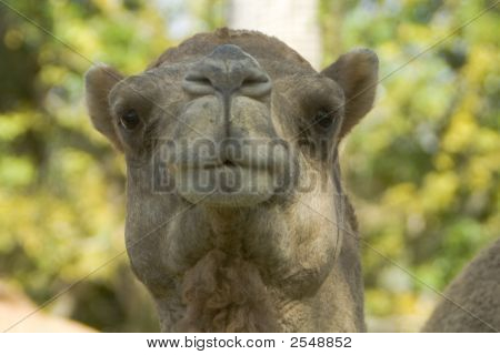 What Are You Looking At