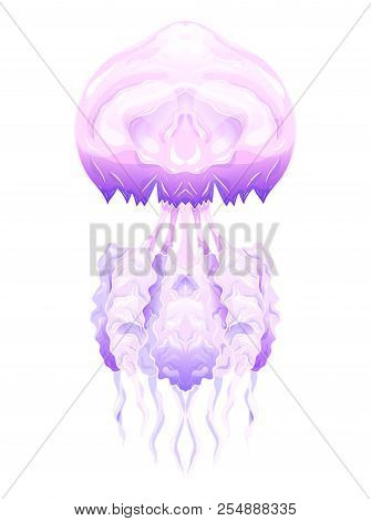 Colorful Illustration Of Neon Jellyfish. The Object Is Separate From The Background. Illustration Fo