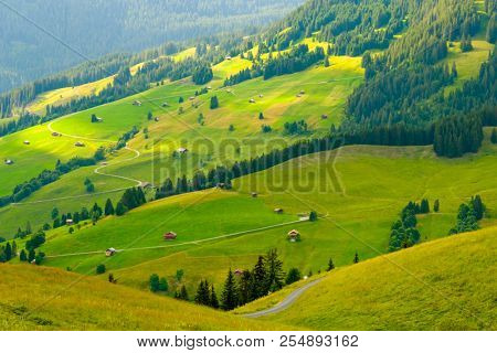 Summer landscape of Switzerland rural country side, near Habkern village