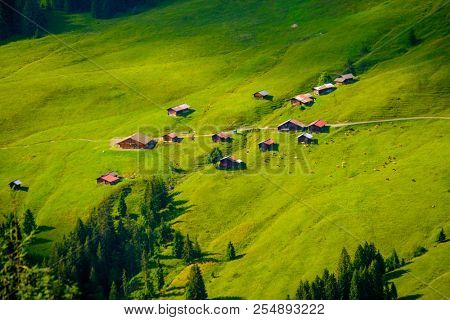 Summer landscape of Switzerland rural country side, near Habkern village