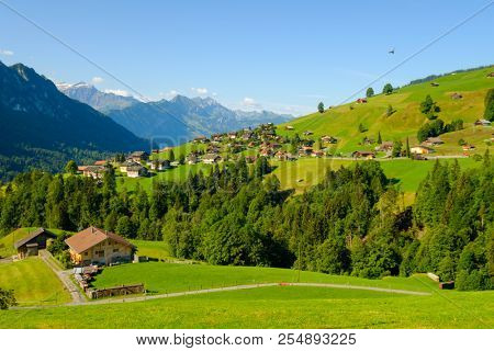 Summer landscape of Switzerland rural country side, near Habkern village