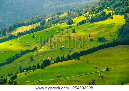 Summer landscape of Switzerland rural country side, near Habkern village