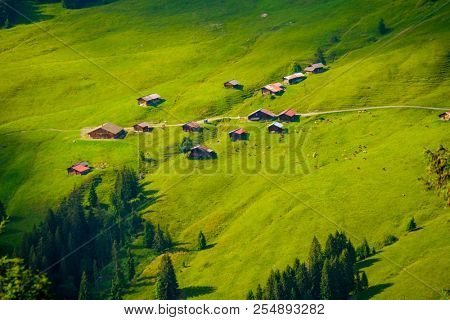 Summer landscape of Switzerland rural country side, near Habkern village
