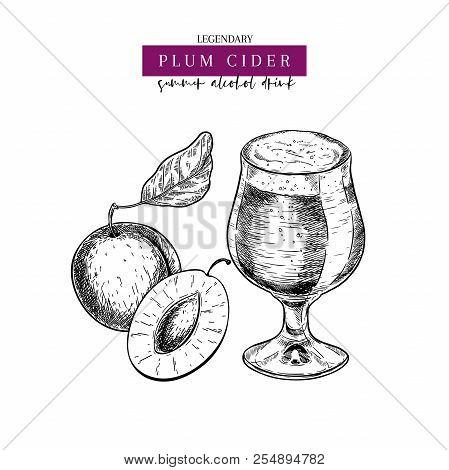Hand Drawn Oktoberfest Pub Poster. Plum Berry Cider Beer Drink. Vector Glass Mug And Sliced Plums. B