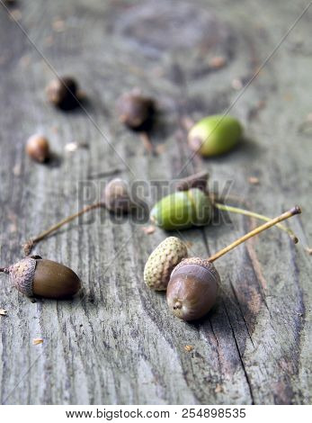 Autumn Decorative Wooden Background With Acorns And Leaves