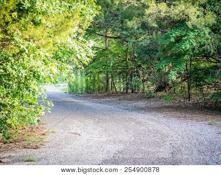 A Forest Trail With The Sun Shining Through The Foliage In Pinnacle National Park