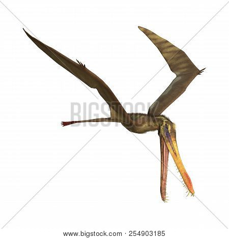 3D Rendering Pterodactyl Anhanguera On White