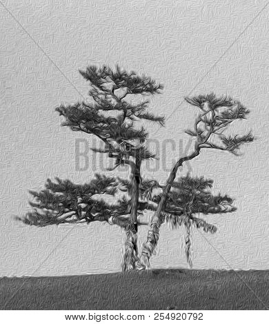 Lonely Shamanic Pine With Ribbons Hadak On Sky Background. Sacred Tree, Island Olkhon, Baikal, Russi