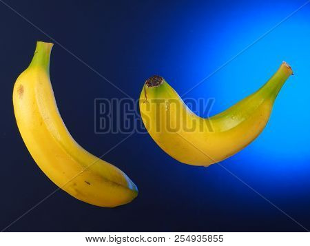 Banana - Platano
Bananas Suspended In The Air. Blue Gradient Background.