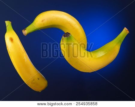 Banana - Platano
Bananas Suspended In The Air. Blue Gradient Background.