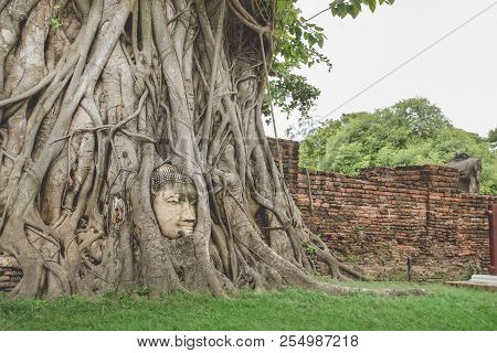 The Buddha Head Statue Trapped In Bodhi Tree Roots At Wat Mahathat, Ayutthaya Historical Park Thaila