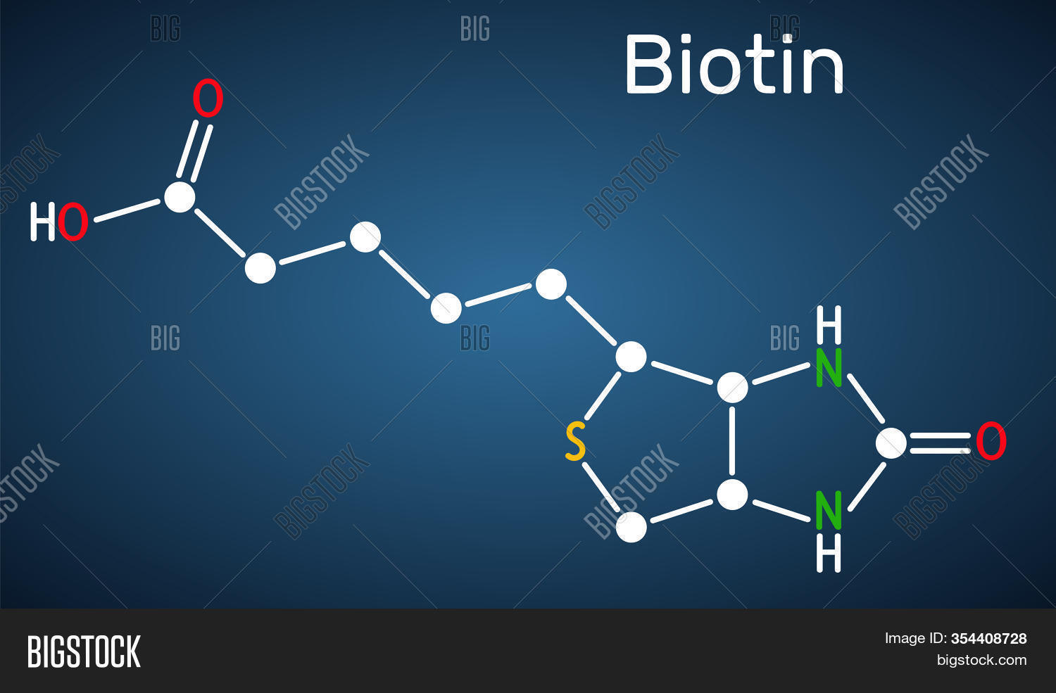 Biotin, Vitamin B7 Image & Photo (Free Trial) Bigstock