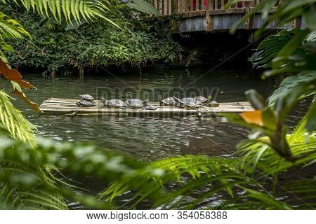 Mainau Island, Lake Constance, Germany - 11 Sep. 2015: The Grounds Of Botanical Garden Of Mainau Isl