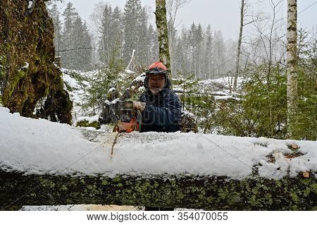 Lumberjack Working On A Uprooted Tree In Snow