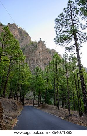 Scenic View On Caldera De Taburiente With Green Pine Forest, Ravines And Rocky Mountains Near Viewpo