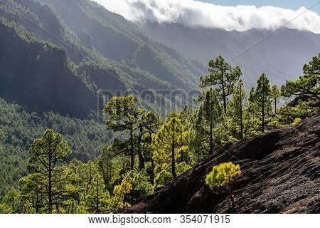 Cloud Waterfall Phenomenon At La Palma Island, Spain Near Viewpoint Cumbrecita In Caldera De Taburie