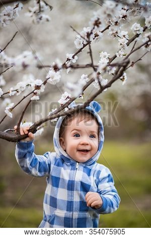 Handsome Boy Clings To A Branch In The Garden. Boy In Dlue Teddy Bear Costume With Flowers