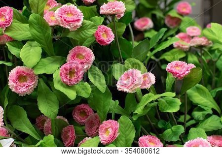 Artificial Bush Of Daisies Flower, Pink Flower Among Green Leaves. Interior Design Decoration, Decor