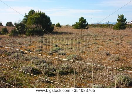 Wild Dunes Covered With Low And Stringy Arid Vegetation Beyond The Network Of The Fenced Park To Pro