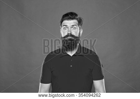 Hairstyle Is Kind Of Art. Well Groomed Hipster. Barbershop Concept. Facial Hair Care. Hiring Barber.