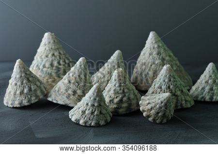 Close-up Of Empty Pyramid Shaped Shells Of Turban Snails In Different Sizes