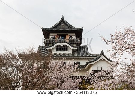 Inuyama Castle Historic Building Landmark In Spring With Beautiful Cherry Blossom.