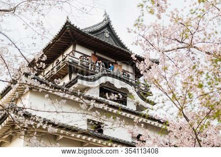 Inuyama Castle Historic Building Landmark In Spring With Beautiful Cherry Blossom.