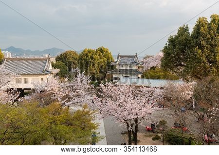 Inuyama Castle Historic Building Landmark In Spring With Beautiful Cherry Blossom.