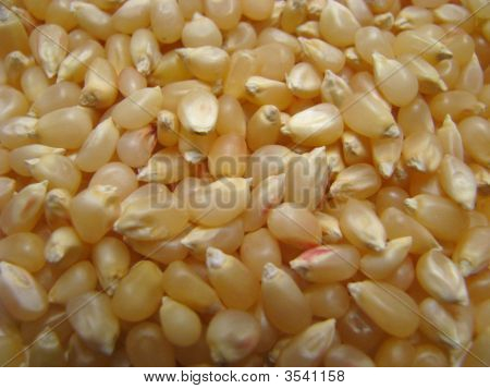 Popcorn