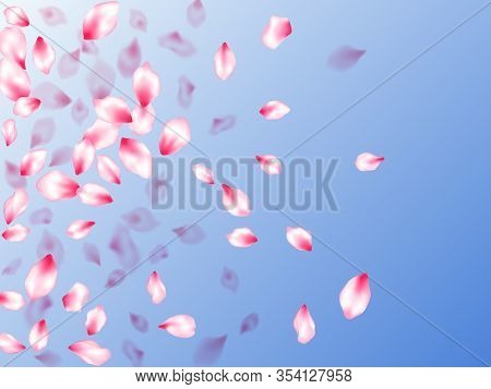 Pink Cherry Blossom Petals Isolated On Blue Sky Background. Bloom 3d Particles. Natural Marrige Deco