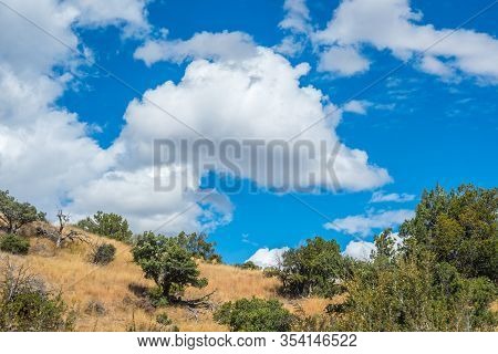 A Beautiful Overlooking View Of Nature In Benson, Arizona