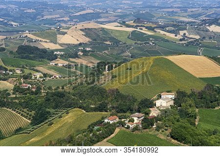 Rural Landscape At Summer From Ripatransone, Ascoli Piceno, Marches, Italy