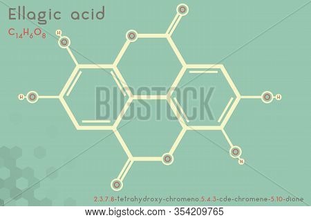 Large And Detailed Infographic Of The Molecule Of Ellagic Acid.