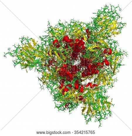 3d Structure Of The 2019-ncov Novel Coronavirus Spike Protein, A Potential Target For Vaccine And Th
