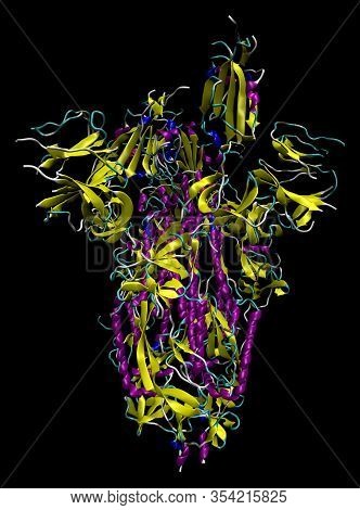 3d Structure Of The 2019-ncov Novel Coronavirus Spike Protein, A Potential Target For Vaccine And Th