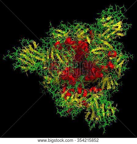 3d Structure Of The 2019-ncov Novel Coronavirus Spike Protein, A Potential Target For Vaccine And Th