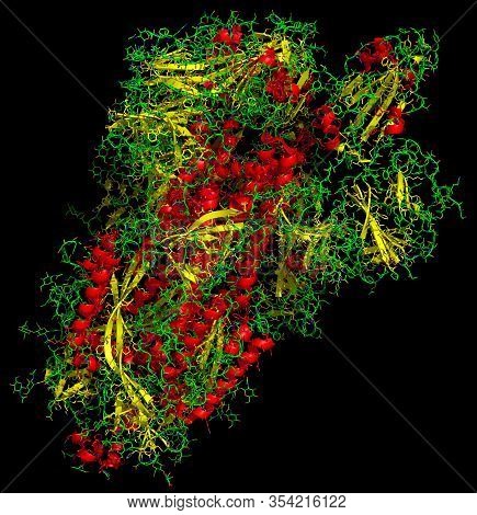3d Structure Of The 2019-ncov Novel Coronavirus Spike Protein, A Potential Target For Vaccine And Th