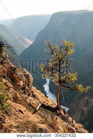 View From The Inspiration Point In Yellowstone National Park, Wyoming Down To The Grand Canyon Of Th