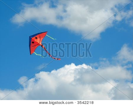 lächelte aerial Schlange