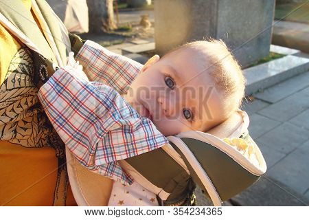 Cute Little Girl In Ergo Carrier On A Walk With Her Father.