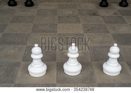 Chess Pieces On A Chess Board In A Park