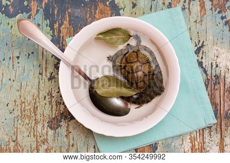 Live Turtle In A Plate With Water And Bay Leaf On The Table. Imitation Of Tortoise Soup. Animal Prot
