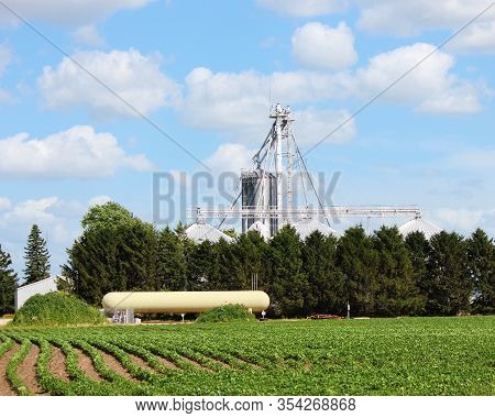 Farm Out Buildings And Field View Of Soy Bean Rows