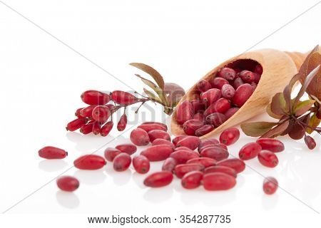 Wooden spoon with ripe red berries of barberry and branch of berberry isolated on white background