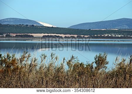 View Across The Lagoon (laguna Del Fuente Del Piedra), Fuente Del Piedra, Malaga Province, Andalucia