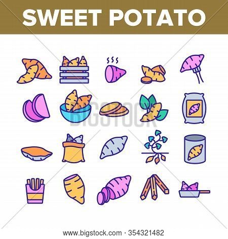 Sweet Potato Batata Collection Icons Set Vector. Fried And Boiled Sweet Potato, Sliced And Fresh Veg