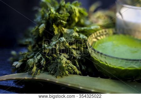 Anti-aging Face Mask On The Black Colored Glossy Surface Consisting Of Fresh Green Cilantro Leaves,