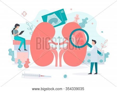 The Health Of The Kidneys. Treatment Of Pyelonephritis. Doctors Conduct Medical Research For Kidney 