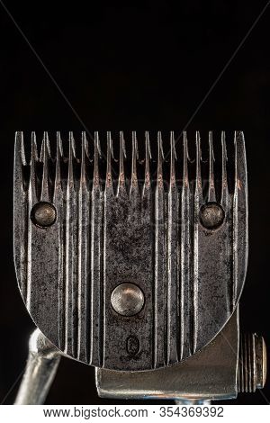 Vintage Rusty Clipper. Vertical Orientation. Back Side. Dark Background